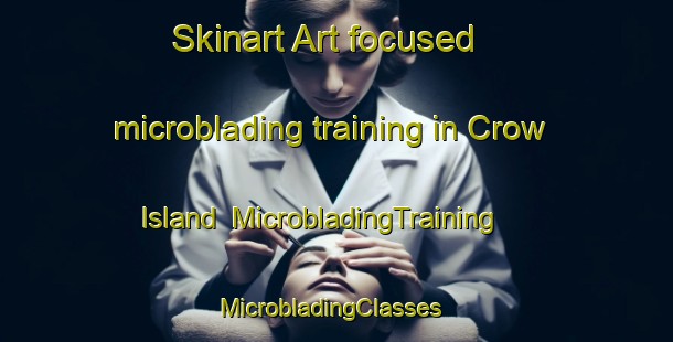 Skinart Art-focused microblading training in Crow Island | MicrobladingTraining | MicrobladingClasses | SkinartTraining-United States