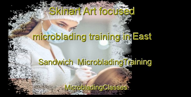 Skinart Art-focused microblading training in East Sandwich | #MicrobladingTraining #MicrobladingClasses #SkinartTraining-United States