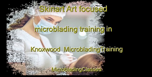 Skinart Art-focused microblading training in Knoxwood | #MicrobladingTraining #MicrobladingClasses #SkinartTraining-United States