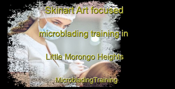 Skinart Art-focused microblading training in Little Morongo Heights | #MicrobladingTraining #MicrobladingClasses #SkinartTraining-United States