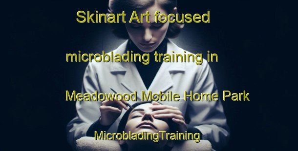 Skinart Art-focused microblading training in Meadowood Mobile Home Park | #MicrobladingTraining #MicrobladingClasses #SkinartTraining-United States