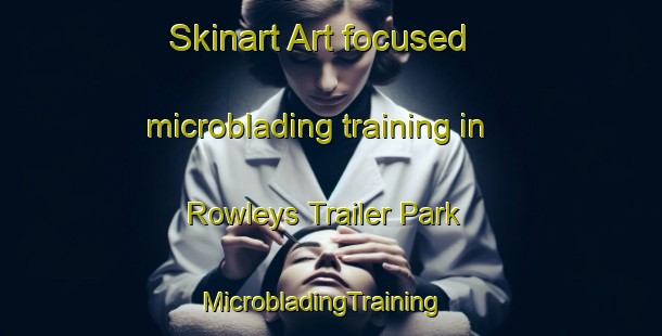 Skinart Art-focused microblading training in Rowleys Trailer Park | MicrobladingTraining | MicrobladingClasses | SkinartTraining-United States