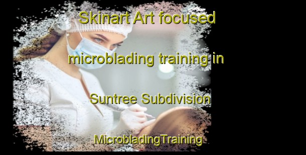 Skinart Art-focused microblading training in Suntree Subdivision | MicrobladingTraining | MicrobladingClasses | SkinartTraining-United States