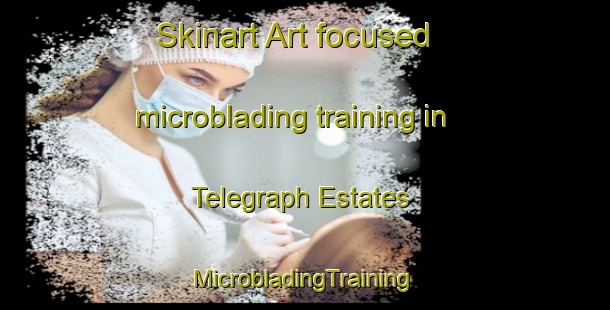 Skinart Art-focused microblading training in Telegraph Estates | #MicrobladingTraining #MicrobladingClasses #SkinartTraining-United States