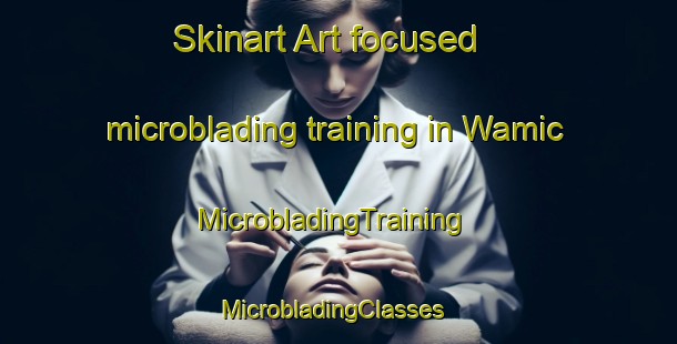 Skinart Art-focused microblading training in Wamic | MicrobladingTraining | MicrobladingClasses | SkinartTraining-United States