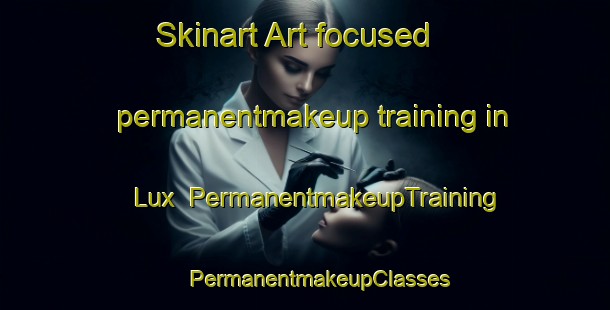 Skinart Art-focused permanentmakeup training in Lux | #PermanentmakeupTraining #PermanentmakeupClasses #SkinartTraining-United States