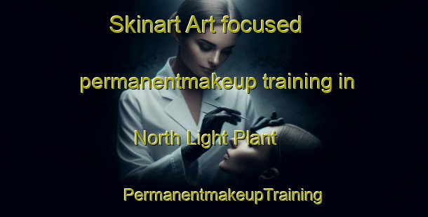 Skinart Art-focused permanentmakeup training in North Light Plant | #PermanentmakeupTraining #PermanentmakeupClasses #SkinartTraining-United States