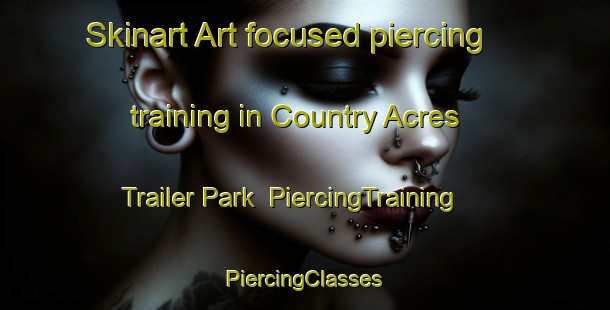 Skinart Art-focused piercing training in Country Acres Trailer Park | #PiercingTraining #PiercingClasses #SkinartTraining-United States