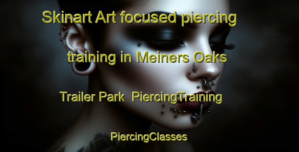 Skinart Art-focused piercing training in Meiners Oaks Trailer Park | #PiercingTraining #PiercingClasses #SkinartTraining-United States