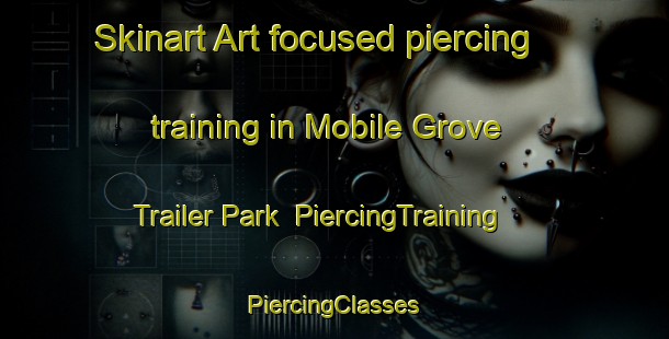 Skinart Art-focused piercing training in Mobile Grove Trailer Park | #PiercingTraining #PiercingClasses #SkinartTraining-United States