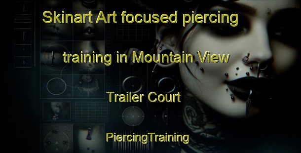 Skinart Art-focused piercing training in Mountain View Trailer Court | #PiercingTraining #PiercingClasses #SkinartTraining-United States