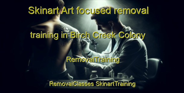 Skinart Art-focused removal training in Birch Creek Colony | #RemovalTraining #RemovalClasses #SkinartTraining-United States