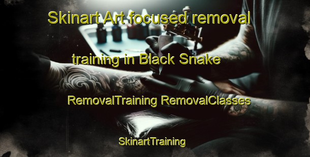 Skinart Art-focused removal training in Black Snake | #RemovalTraining #RemovalClasses #SkinartTraining-United States