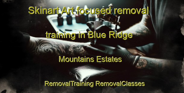 Skinart Art-focused removal training in Blue Ridge Mountains Estates | #RemovalTraining #RemovalClasses #SkinartTraining-United States