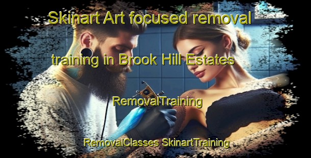 Skinart Art-focused removal training in Brook Hill Estates | #RemovalTraining #RemovalClasses #SkinartTraining-United States