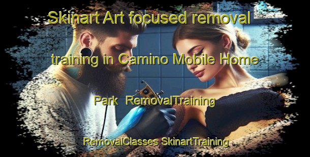 Skinart Art-focused removal training in Camino Mobile Home Park | #RemovalTraining #RemovalClasses #SkinartTraining-United States