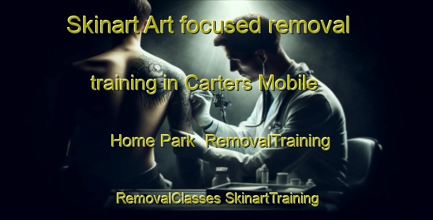 Skinart Art-focused removal training in Carters Mobile Home Park | #RemovalTraining #RemovalClasses #SkinartTraining-United States