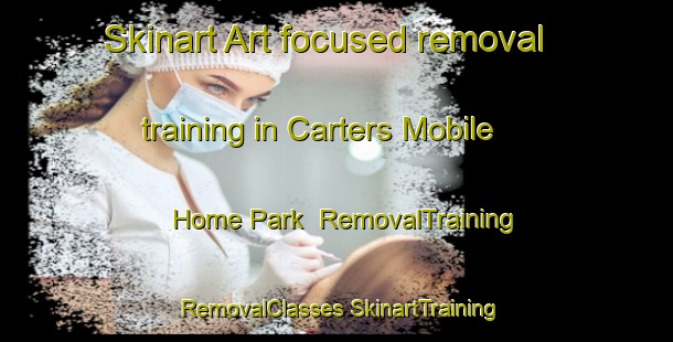 Skinart Art-focused removal training in Carters Mobile Home Park | #RemovalTraining #RemovalClasses #SkinartTraining-United States