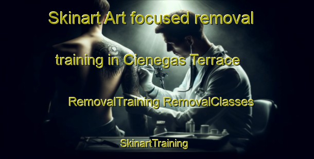 Skinart Art-focused removal training in Cienegas Terrace | #RemovalTraining #RemovalClasses #SkinartTraining-United States