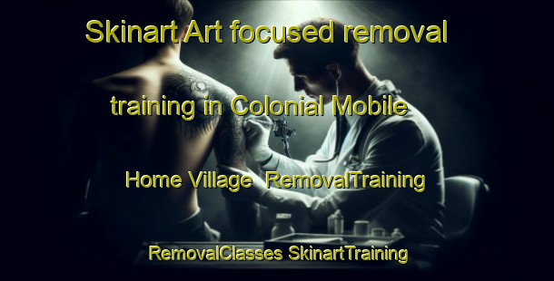 Skinart Art-focused removal training in Colonial Mobile Home Village | #RemovalTraining #RemovalClasses #SkinartTraining-United States