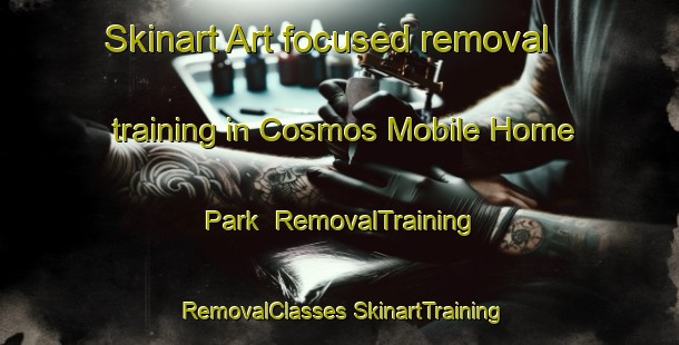 Skinart Art-focused removal training in Cosmos Mobile Home Park | #RemovalTraining #RemovalClasses #SkinartTraining-United States