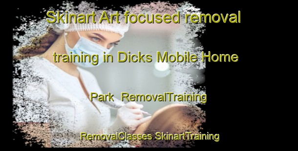 Skinart Art-focused removal training in Dicks Mobile Home Park | #RemovalTraining #RemovalClasses #SkinartTraining-United States