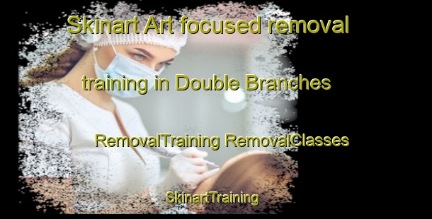 Skinart Art-focused removal training in Double Branches | #RemovalTraining #RemovalClasses #SkinartTraining-United States