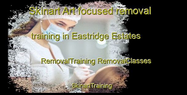 Skinart Art-focused removal training in Eastridge Estates | #RemovalTraining #RemovalClasses #SkinartTraining-United States