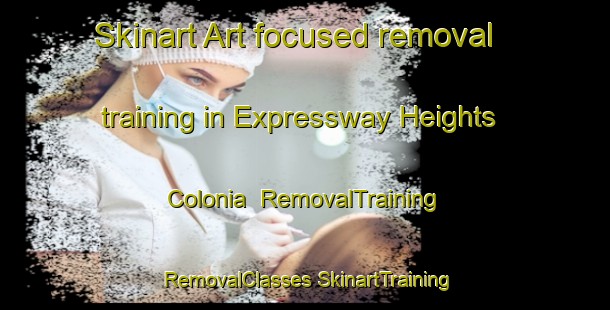 Skinart Art-focused removal training in Expressway Heights Colonia | #RemovalTraining #RemovalClasses #SkinartTraining-United States