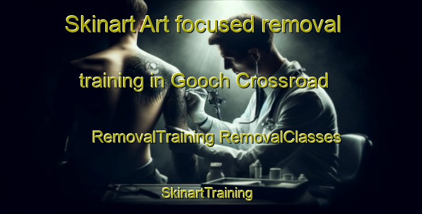 Skinart Art-focused removal training in Gooch Crossroad | #RemovalTraining #RemovalClasses #SkinartTraining-United States