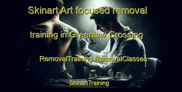 Skinart Art-focused removal training in Greenlaw Crossing | #RemovalTraining #RemovalClasses #SkinartTraining-United States