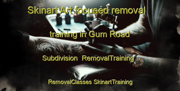 Skinart Art-focused removal training in Gum Road Subdivision | #RemovalTraining #RemovalClasses #SkinartTraining-United States