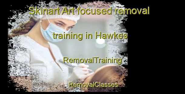 Skinart Art-focused removal training in Hawkes | RemovalTraining | RemovalClasses | SkinartTraining-United States