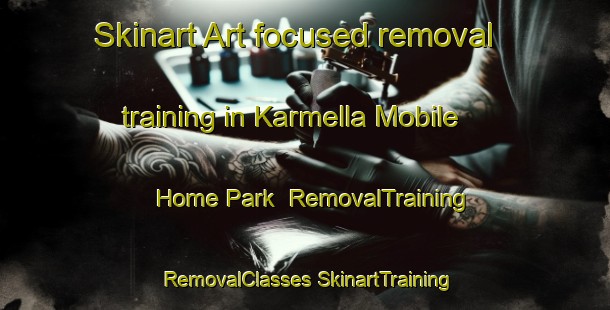 Skinart Art-focused removal training in Karmella Mobile Home Park | #RemovalTraining #RemovalClasses #SkinartTraining-United States