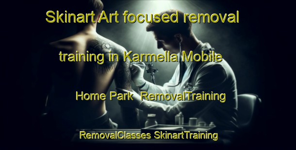 Skinart Art-focused removal training in Karmella Mobile Home Park | #RemovalTraining #RemovalClasses #SkinartTraining-United States