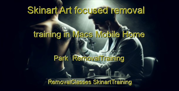 Skinart Art-focused removal training in Macs Mobile Home Park | #RemovalTraining #RemovalClasses #SkinartTraining-United States