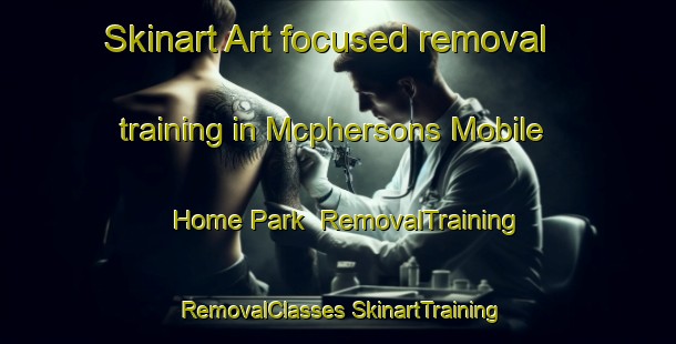 Skinart Art-focused removal training in Mcphersons Mobile Home Park | #RemovalTraining #RemovalClasses #SkinartTraining-United States