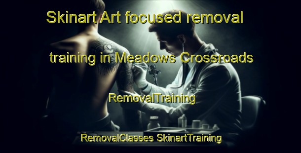 Skinart Art-focused removal training in Meadows Crossroads | #RemovalTraining #RemovalClasses #SkinartTraining-United States