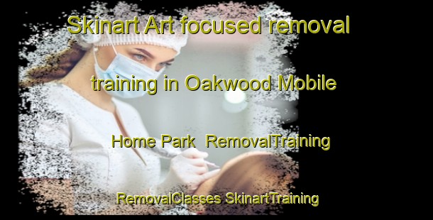 Skinart Art-focused removal training in Oakwood Mobile Home Park | #RemovalTraining #RemovalClasses #SkinartTraining-United States