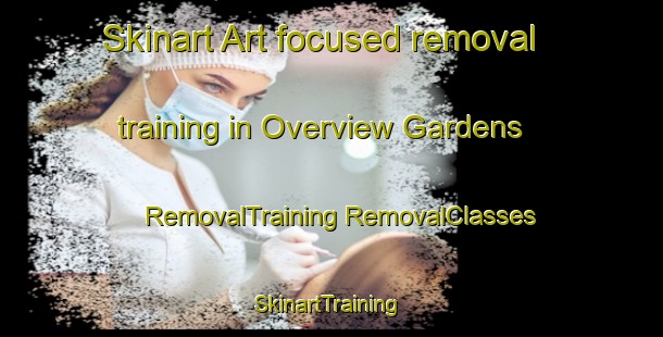 Skinart Art-focused removal training in Overview Gardens | #RemovalTraining #RemovalClasses #SkinartTraining-United States