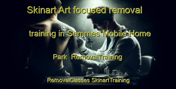 Skinart Art-focused removal training in Semmes Mobile Home Park | #RemovalTraining #RemovalClasses #SkinartTraining-United States