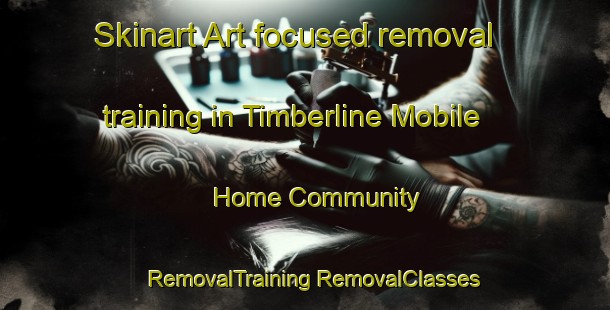 Skinart Art-focused removal training in Timberline Mobile Home Community | #RemovalTraining #RemovalClasses #SkinartTraining-United States