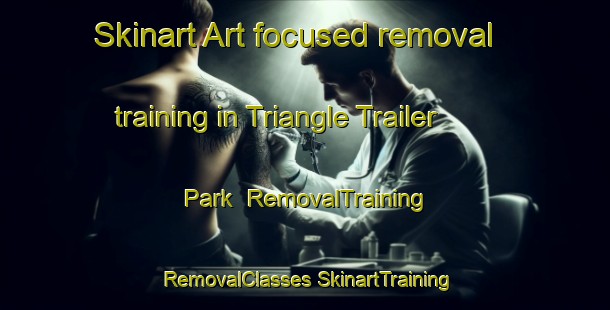 Skinart Art-focused removal training in Triangle Trailer Park | #RemovalTraining #RemovalClasses #SkinartTraining-United States