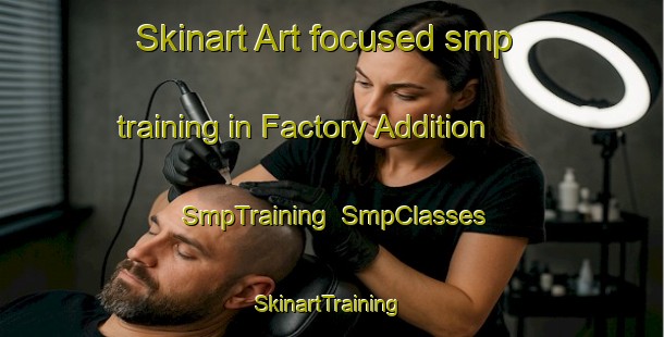 Skinart Art-focused smp training in Factory Addition | SmpTraining | SmpClasses | SkinartTraining-United States