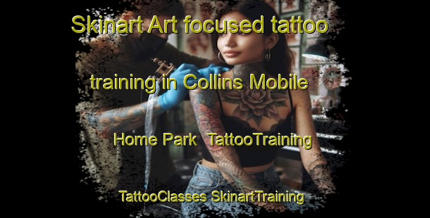 Skinart Art-focused tattoo training in Collins Mobile Home Park | #TattooTraining #TattooClasses #SkinartTraining-United States