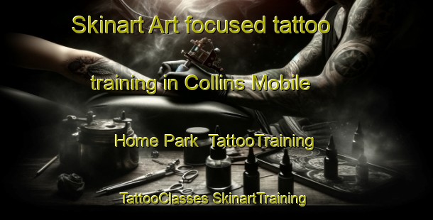 Skinart Art-focused tattoo training in Collins Mobile Home Park | #TattooTraining #TattooClasses #SkinartTraining-United States