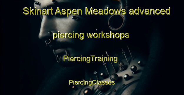 Skinart Aspen Meadows advanced piercing workshops | #PiercingTraining #PiercingClasses #SkinartTraining-United States