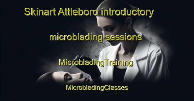 Skinart Attleboro introductory microblading sessions | #MicrobladingTraining #MicrobladingClasses #SkinartTraining-United States