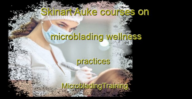 Skinart Auke courses on microblading wellness practices | #MicrobladingTraining #MicrobladingClasses #SkinartTraining-United States