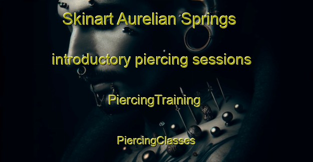 Skinart Aurelian Springs introductory piercing sessions | #PiercingTraining #PiercingClasses #SkinartTraining-United States